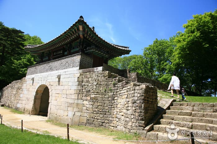 충북_괴산_연풍새재 옛길 따라 떠나는 조령산 야생화 생태 여행08