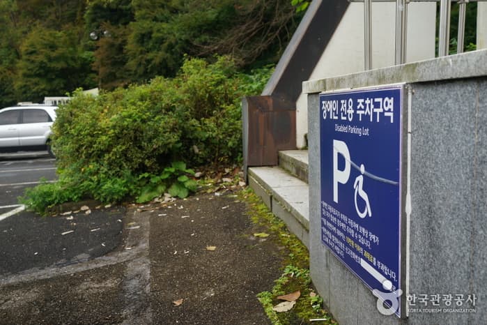 전라북도_강천사숲길03