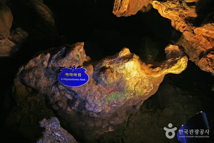 경북_울진_신라 진흥왕도 만난 2억 5000만 년의 신비, 울진 성류굴_08