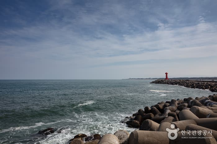 남애항 2021 촬영 4