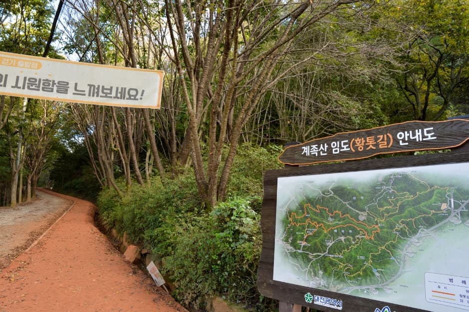 장동산림욕장 (1)
