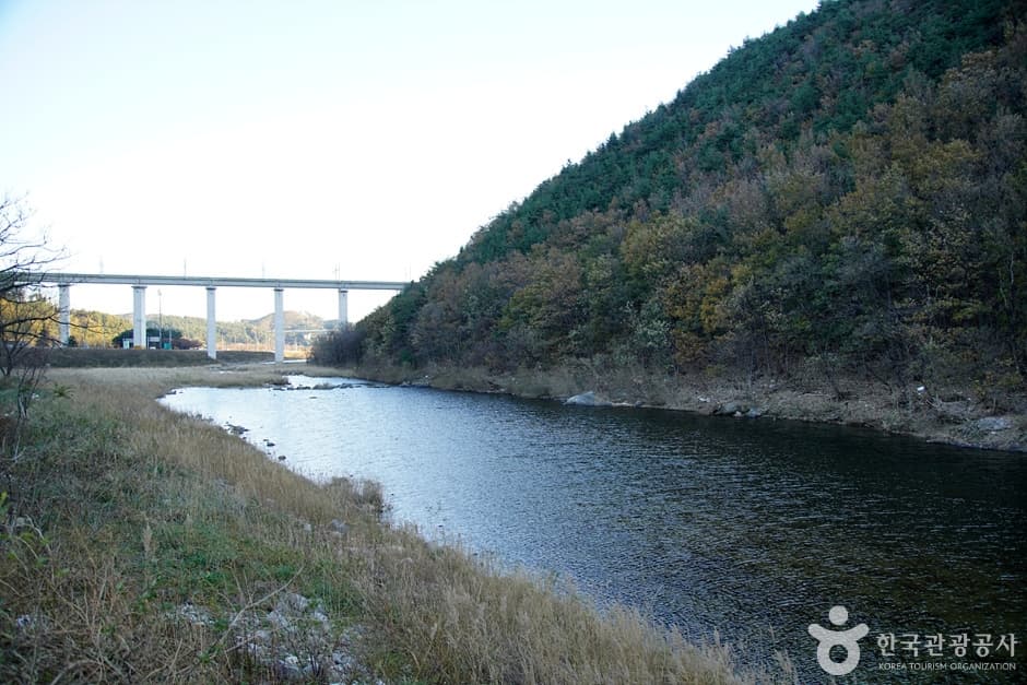 남대천(강릉) (4)