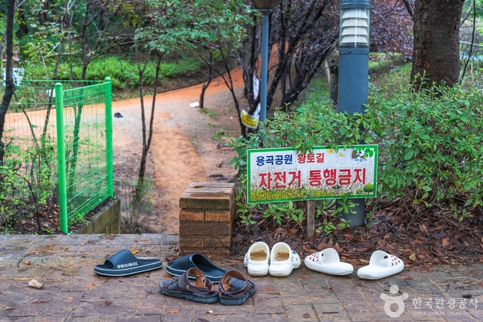 에코힐링황톳길 (15)