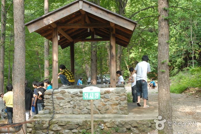 청옥산자연휴양림_05