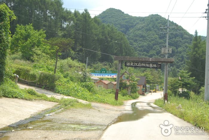 주천강휴양림_01