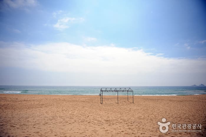 송지호해수욕장