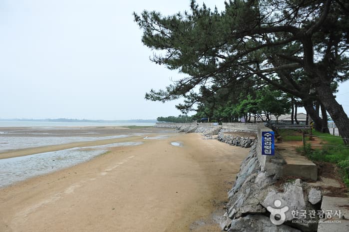 톱머리해수욕장