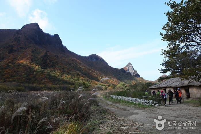 1311경북_울릉_성인봉 27