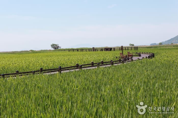 전남_순천_남도한바퀴07