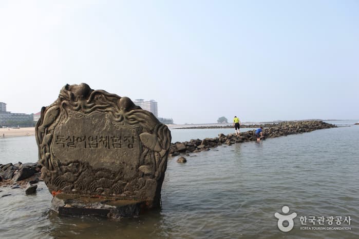 충남_보령_무창포신비의바닷길축제19