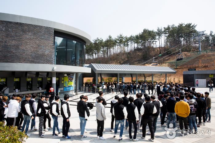 경남_통영_한번으론 멈출 수 없는 짜릿함, 통영루지02