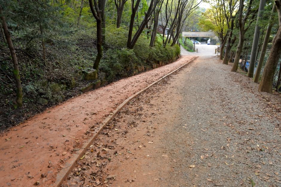 장동산림욕장 (2)