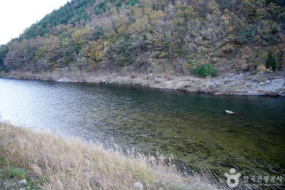 남대천(강릉) (5)