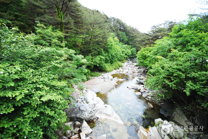 가리왕산자연휴양림_11