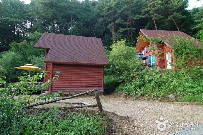 주천강강변자연휴양림_14