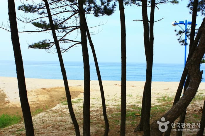 해양레일바이크6