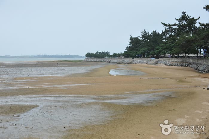 톱머리해수욕장