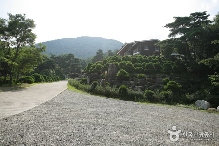 칠보산자연휴양림