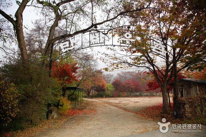 경북_청송_만바우촌03