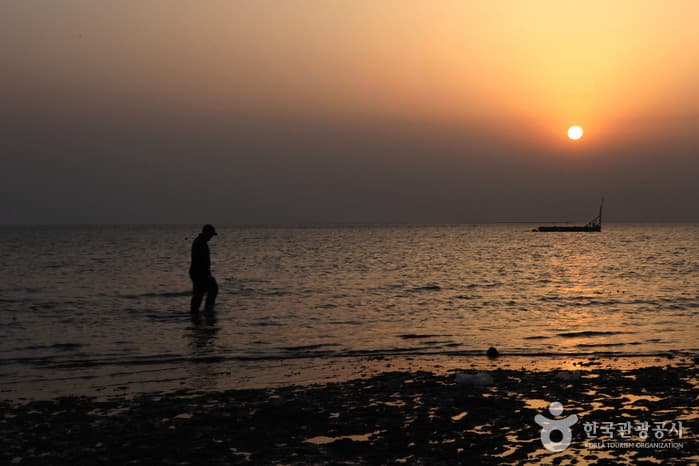 전남_진도_신비의 바닷길 축제50
