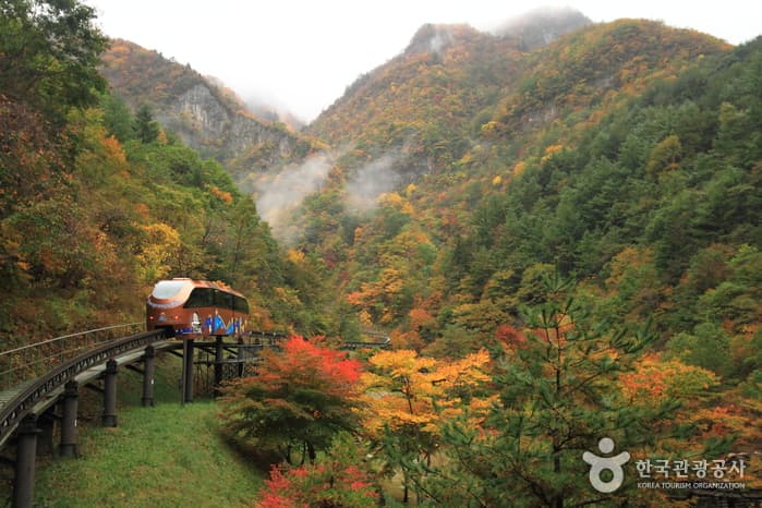 강원_삼척_신비롭고 놀라운 세상, 삼척대이리동굴지대14