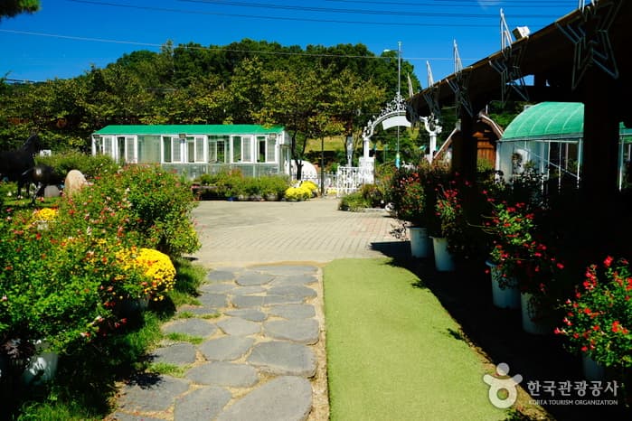 경기_양평들꽃수목원11