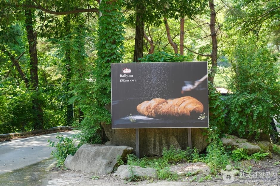 달리온 (3)