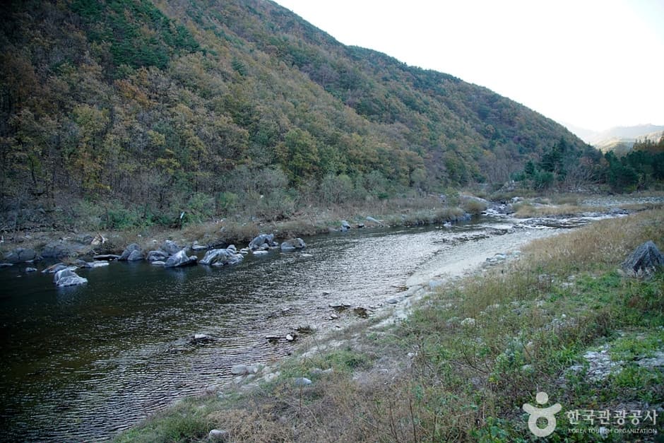 남대천(강릉) (6)