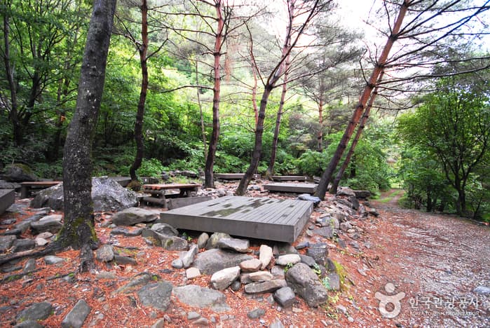 가리왕산자연휴양림_12