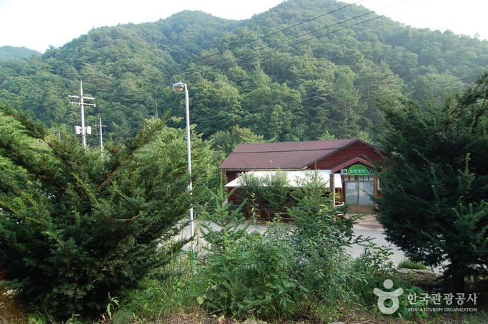 주천강강변자연휴양림_15