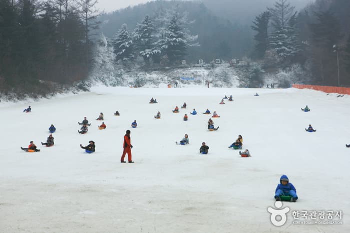 양평 한화리조트 눈썰매장_1