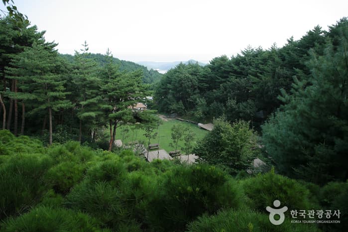 칠보산자연휴양림