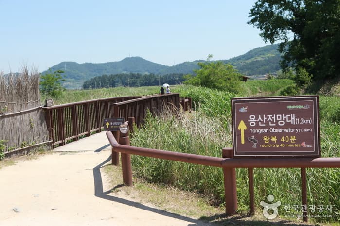 전남_순천_남도한바퀴09