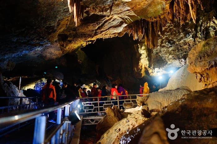 강원_삼척_신비롭고 놀라운 세상, 삼척대이리동굴지대15