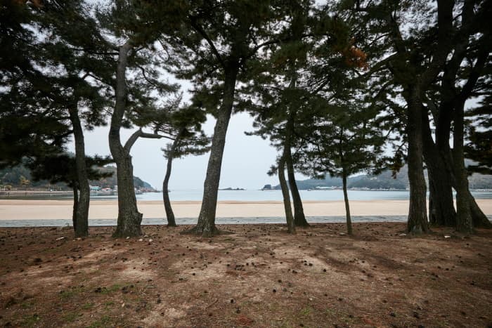한국문화관광연구원_상주은모래비치_02