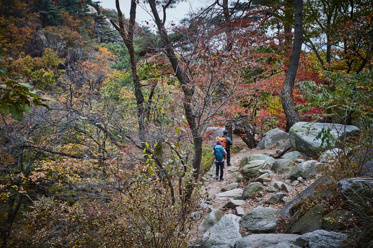 한국문화정보원_북산한국립공원(도봉) 28