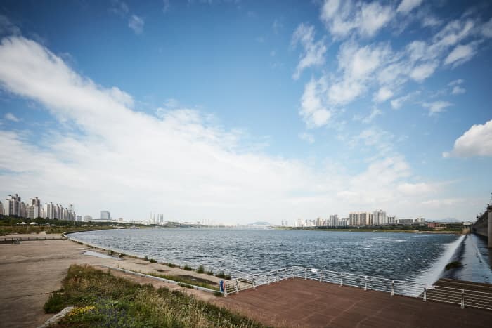 한국문화정보원_잠실한강공원 8