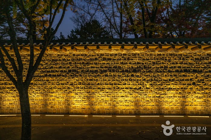 서울_중구_덕수궁 돌담길03