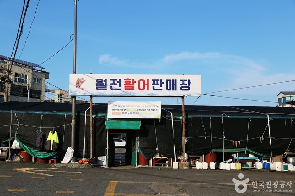 Woljeon Fish Market (월전 활어판매장)
