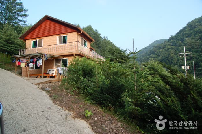 주천강강변자연휴양림_16