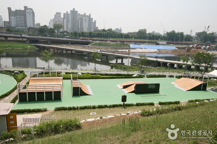 서울시 성동구 살곶이체육공원13