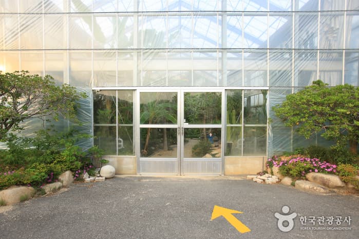 울산광역시_동구_울산테마식물수목원_039