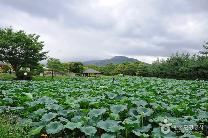 서일농원(전통된장)