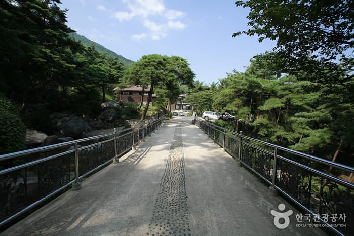 칠보산자연휴양림