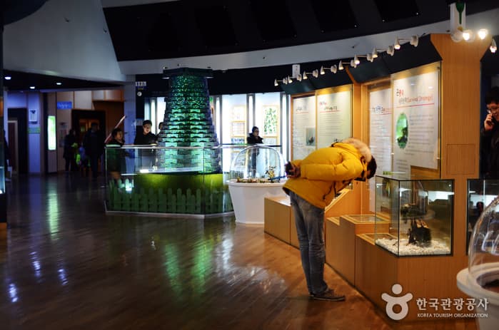 1601전북_무주_반디랜드38