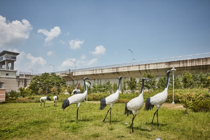 Gunnam Flood Control Theme Park (군남홍수조절지 두루미테마파크)