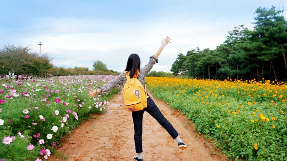수도권 매립지 야생화단지 드림파크_7