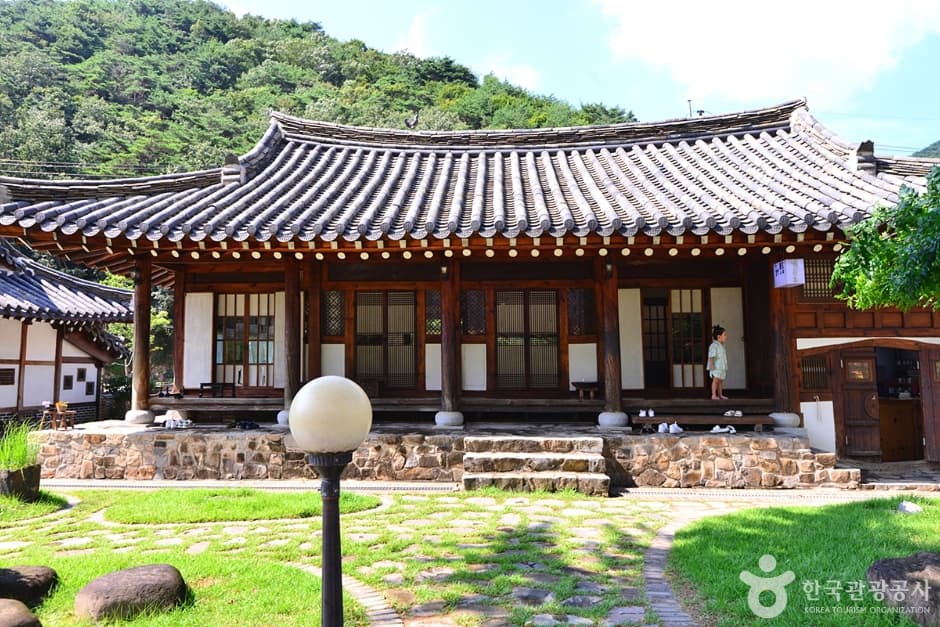 꽃피는 춘삼월 (3)