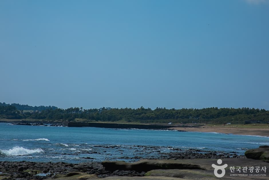 사계해변(16)