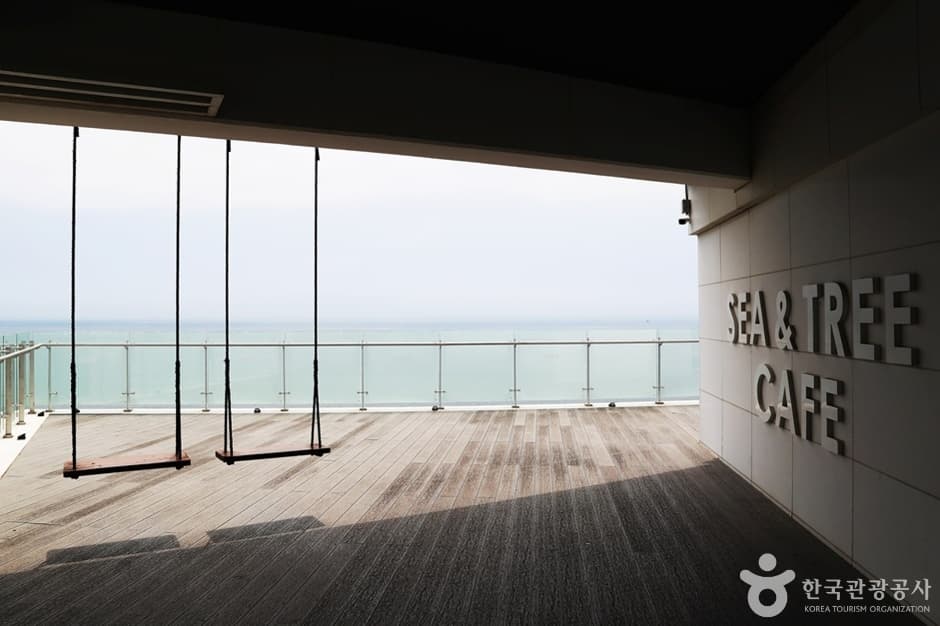 Café Sea & Tree (씨앤트리 카페)